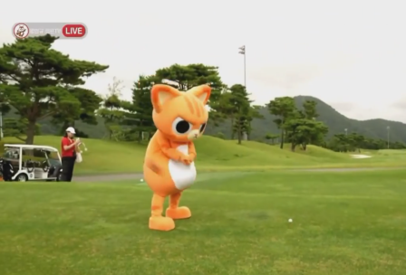 홍인규 골프 tv