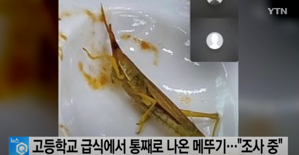 강서구 고교 급식 근대된장국 아닌 메뚜기된장국 나왔다