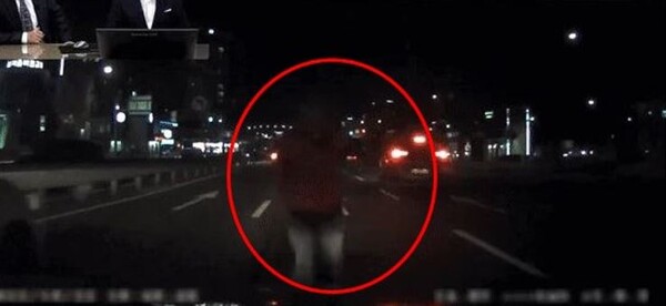 한밤 중 블랙박스에 찍힌 정체 알고보니 ‘소름’ 