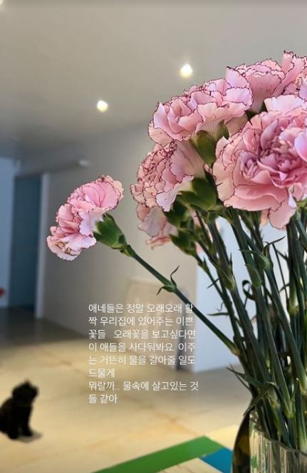 공효진 인스타그램