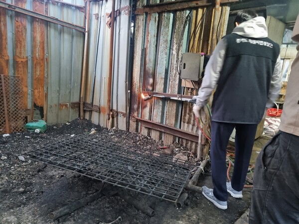 파주시 개 농장 현장