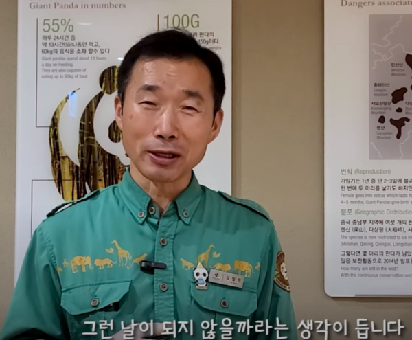 푸바오 엄마 아이바오, 둘째 임신? "출근 못한다"