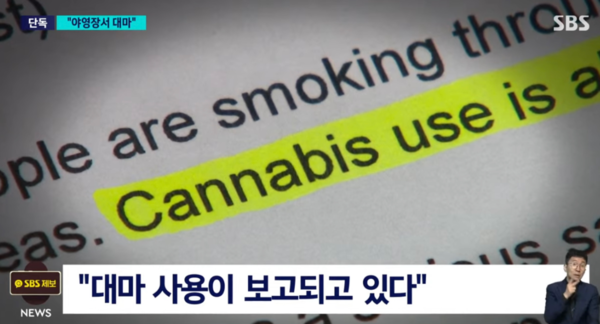 잼버리에서 학생들 대마 피웠다? "후속 조치 없었다"