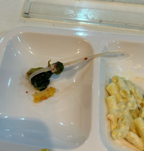 '케이블타이에 나사까지' 현재 심각한 대학교 학식