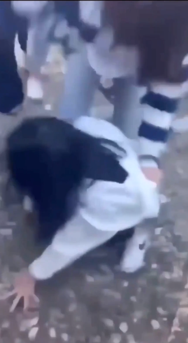 천안 집단 학폭 논란 30명이 둘러싸서 '발길질'에 '환호' 