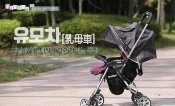 유모차 유아차 무슨 차이? 국립국어원 입장은… 