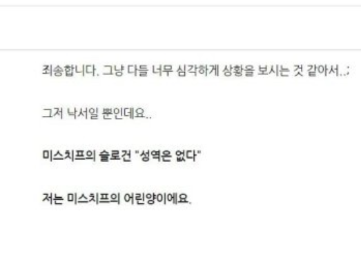경복궁 담벼락 낙서 범인, 블로그 보니 '경악' 