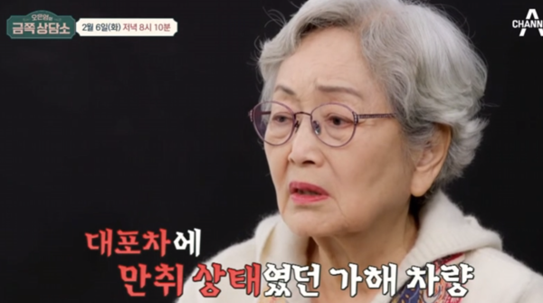 "만취 상태에서 그냥 들이받아" 김영옥 근황 '충격' 
