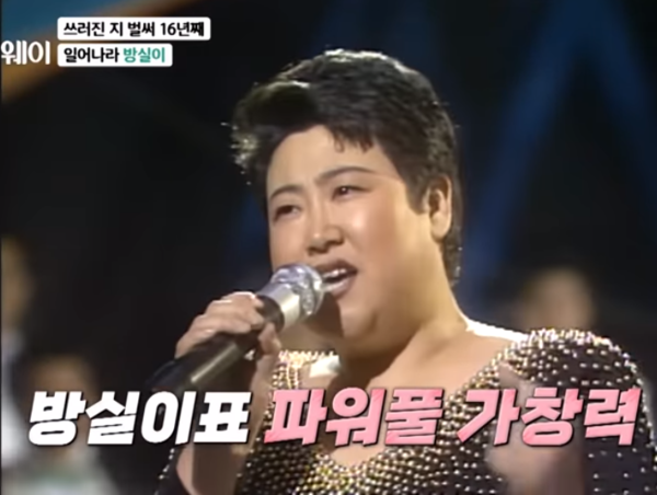 가수 방실이, 17년간의 뇌경색 투병 끝에 별세 '어쩌다가' 